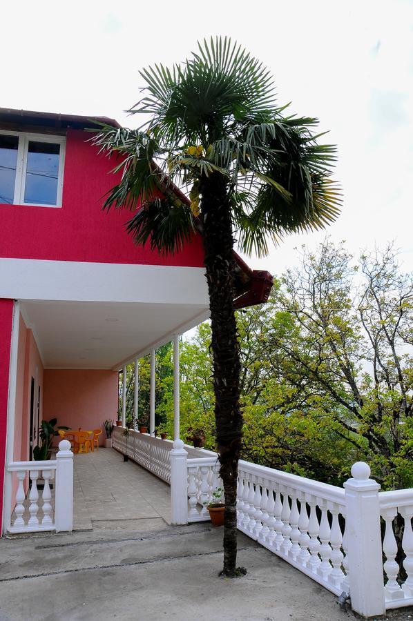Sofia Guest House Кутаїсі Екстер'єр фото